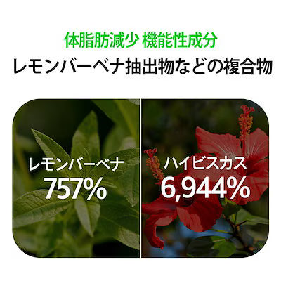 GLPitt レモンバーベナ スリムブースター