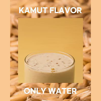 ハゼンダダイエット ココア (COCOA/KAMUT))