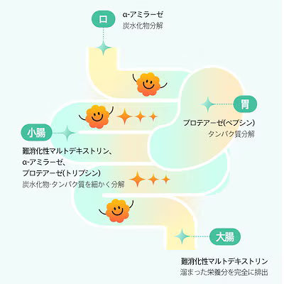 パインスムージー酵素
