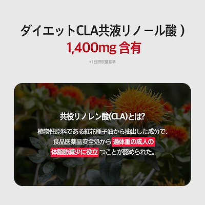 ファットバーニングダイエット
