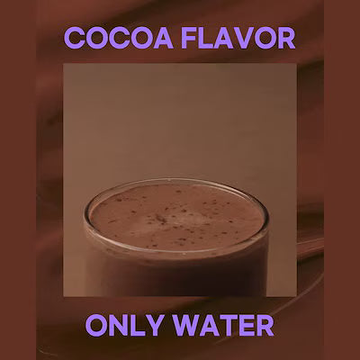 ハゼンダダイエット ココア (COCOA/KAMUT))